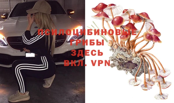 apvp Алзамай