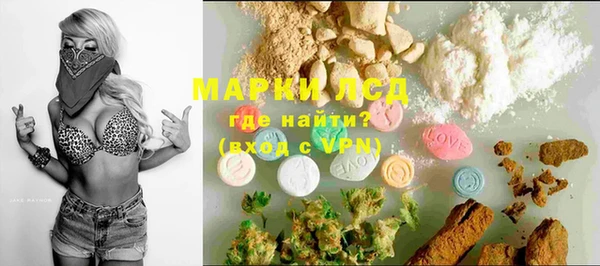 apvp Алзамай