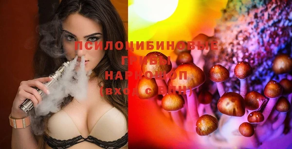 apvp Алзамай