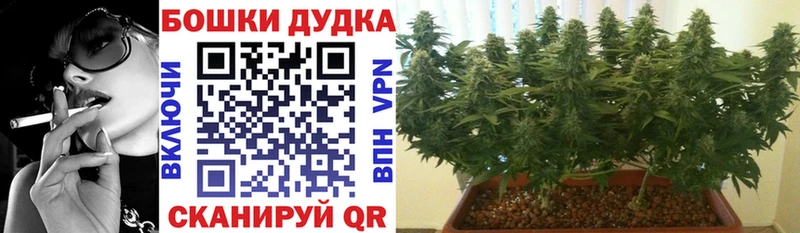 Марихуана Bruce Banner Алзамай